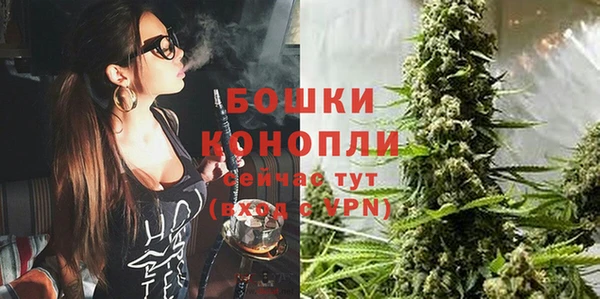 бутират Белокуриха